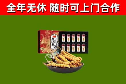 漳平烟酒回收冬虫夏草礼盒.jpg