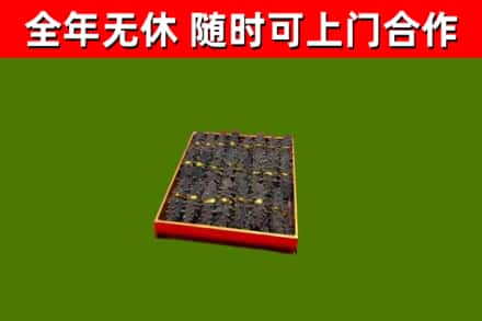 漳平回收海参